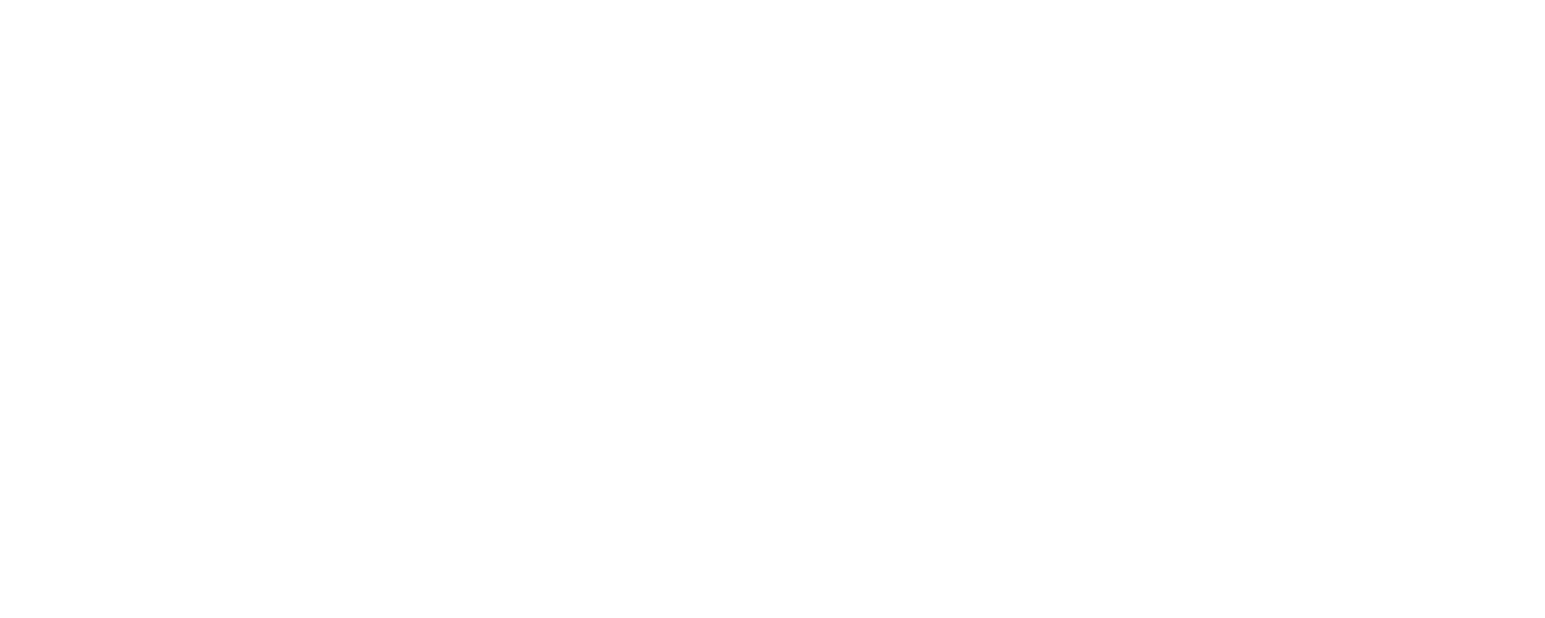 Palace Hotel Footer Logo